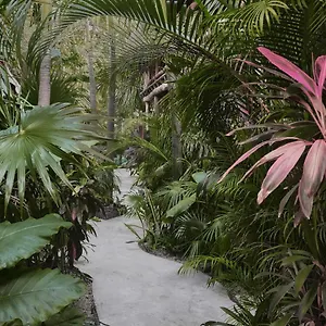 Отель Boutique Terranova
